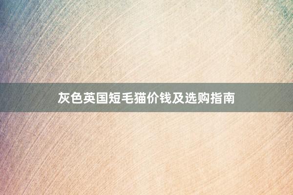灰色英国短毛猫价钱及选购指南