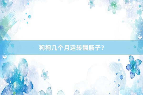狗狗几个月运转翻肠子?