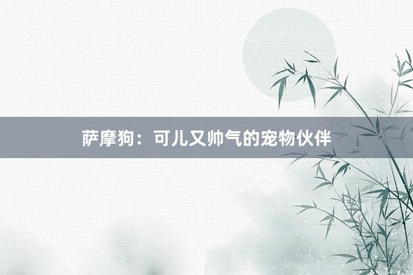 萨摩狗：可儿又帅气的宠物伙伴